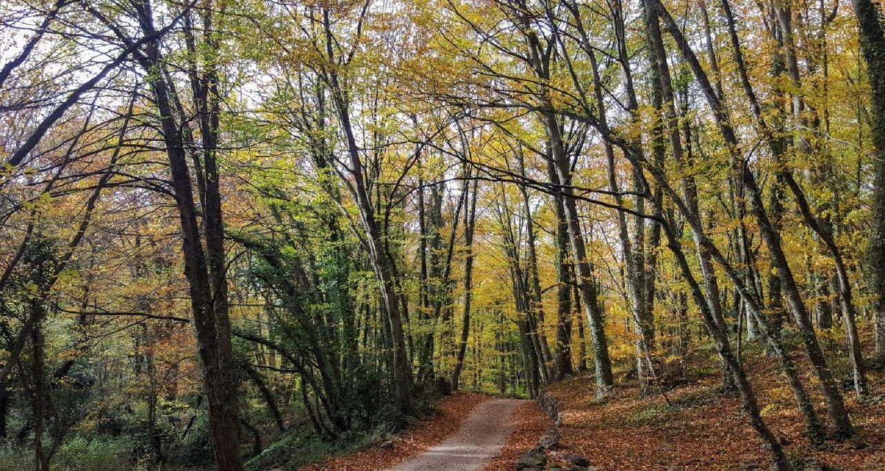 Can Costa Olot Bagian luar foto